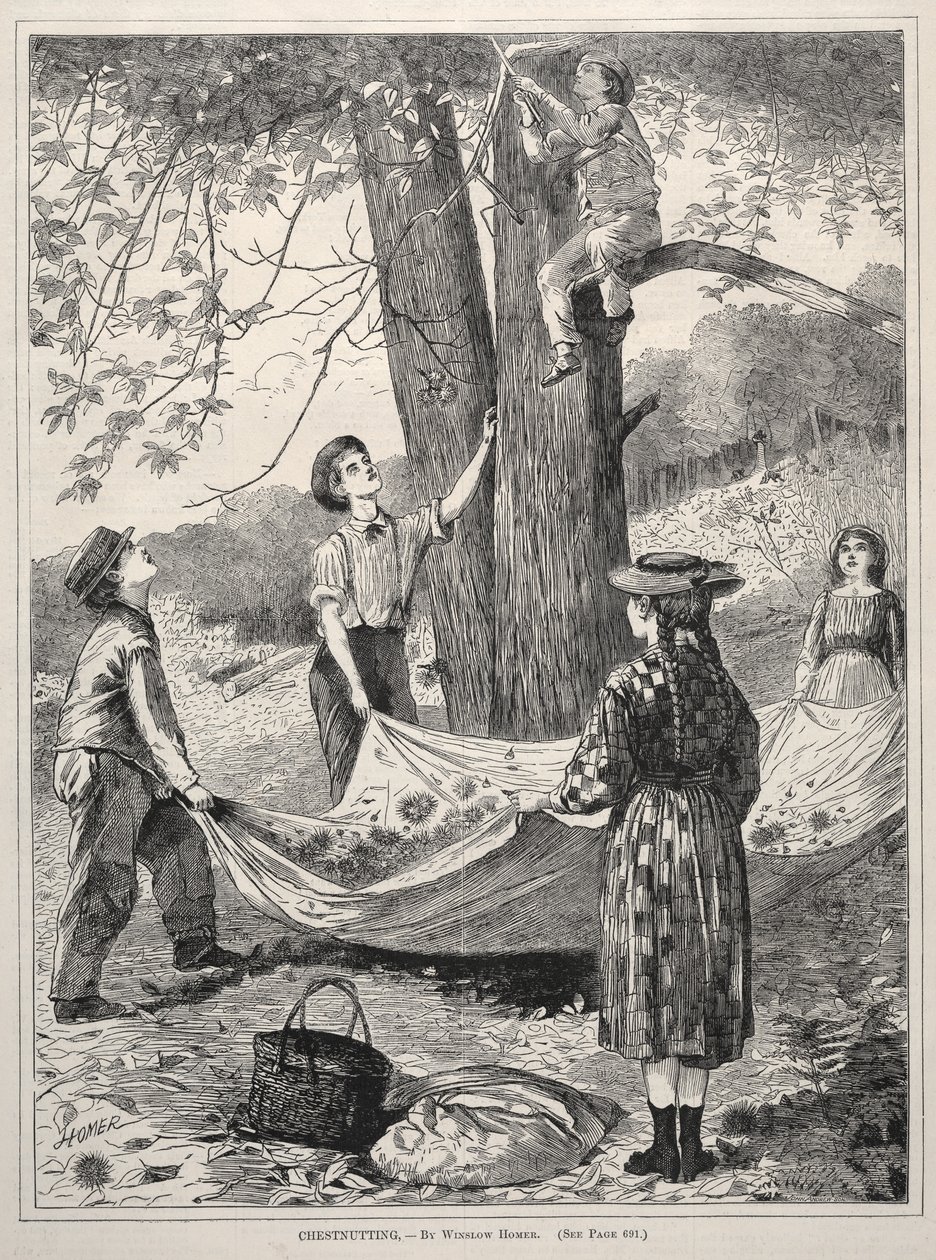 Kastanja, 1870. tekijältä Winslow Homer