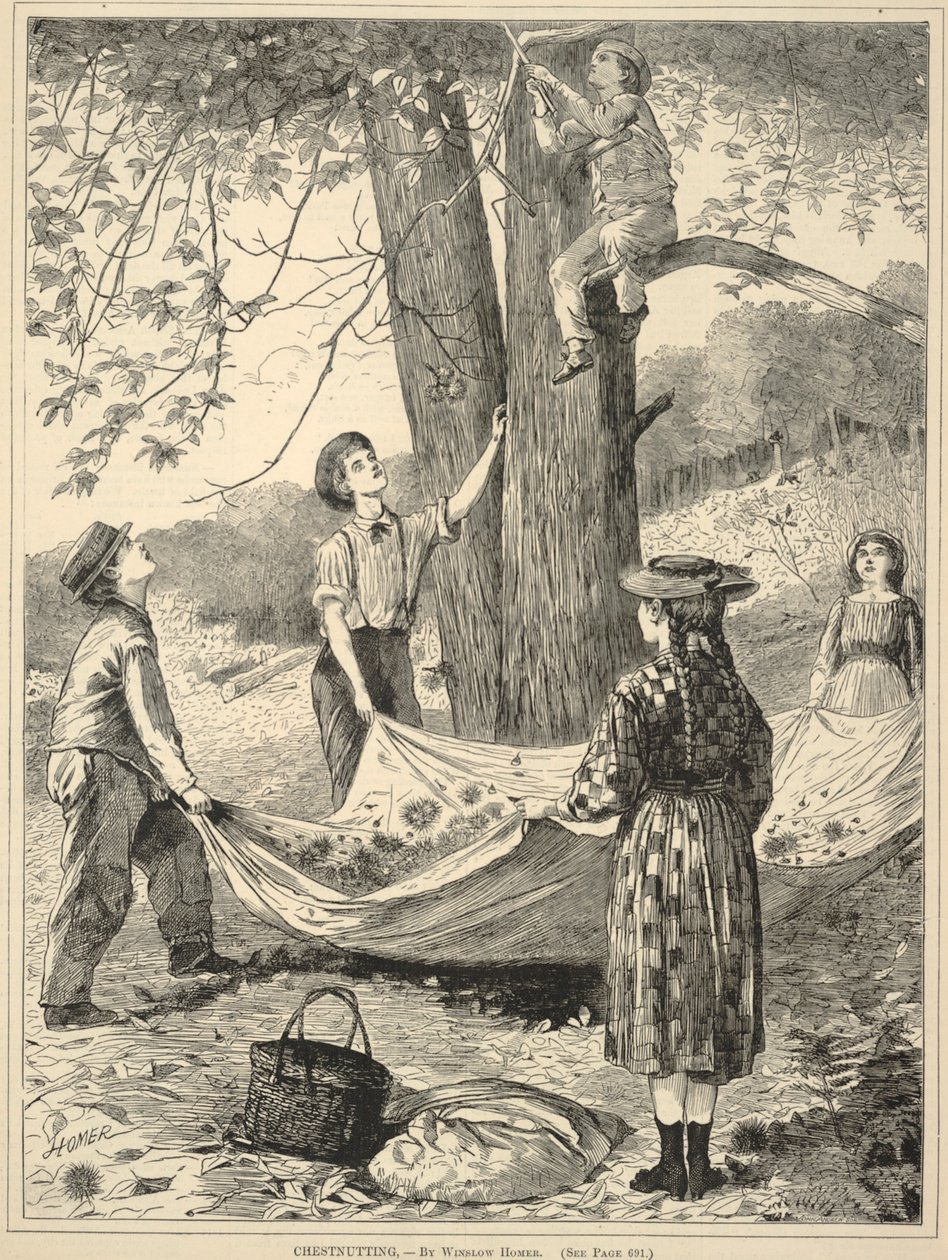 Chestnutting, alkaen Joka lauantai: An Illustrated Journal of Choice Reading, 29. lokakuuta 1870. tekijältä Winslow Homer