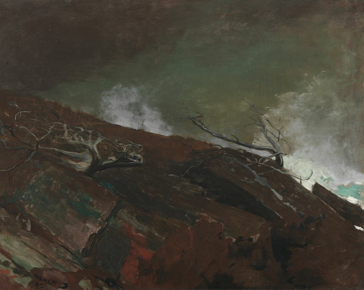 Mainen rannikko, 1893. tekijältä Winslow Homer