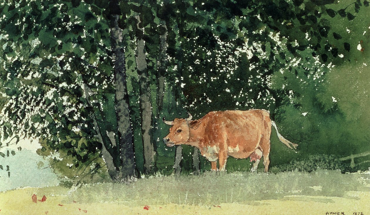 Lehmä laitumella, 1878 tekijältä Winslow Homer
