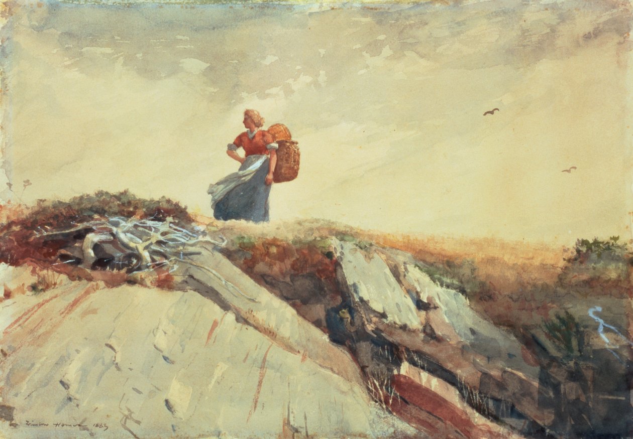 Down the Cliff, 1883 tekijältä Winslow Homer
