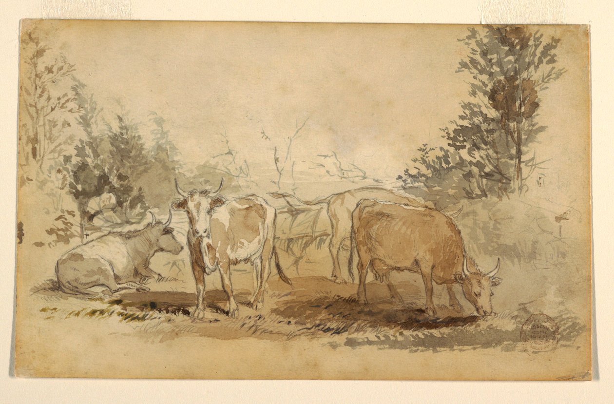 Piirros, Neljä lehmää laiduntamassa laitumella, n. 1855-60. tekijältä Winslow Homer