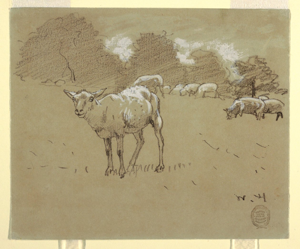 Piirros, Lammas laiduntamassa pellolla, n. 1875-78. tekijältä Winslow Homer