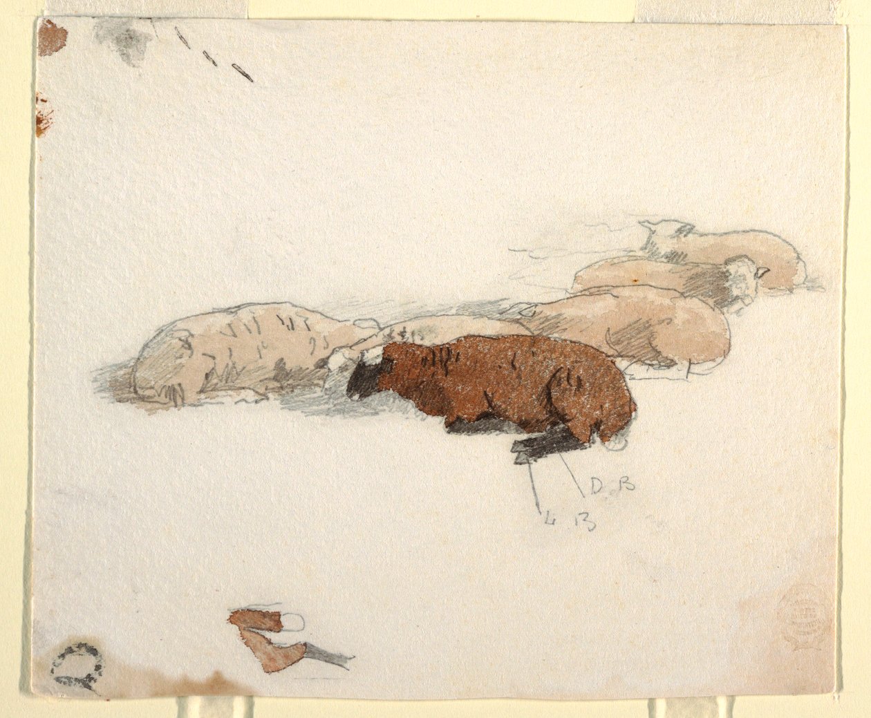 Piirros, Lammas lepää, 1878 tekijältä Winslow Homer