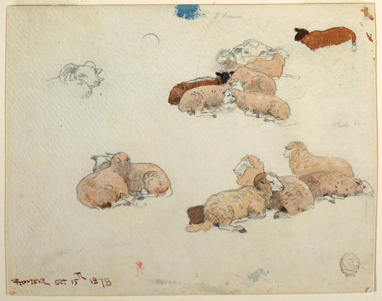Piirros, lampaat lepäämässä, 15. lokakuuta 1878. tekijältä Winslow Homer