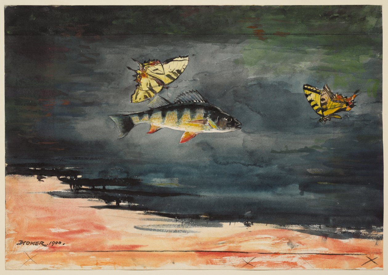 Kalat ja perhoset tekijältä Winslow Homer