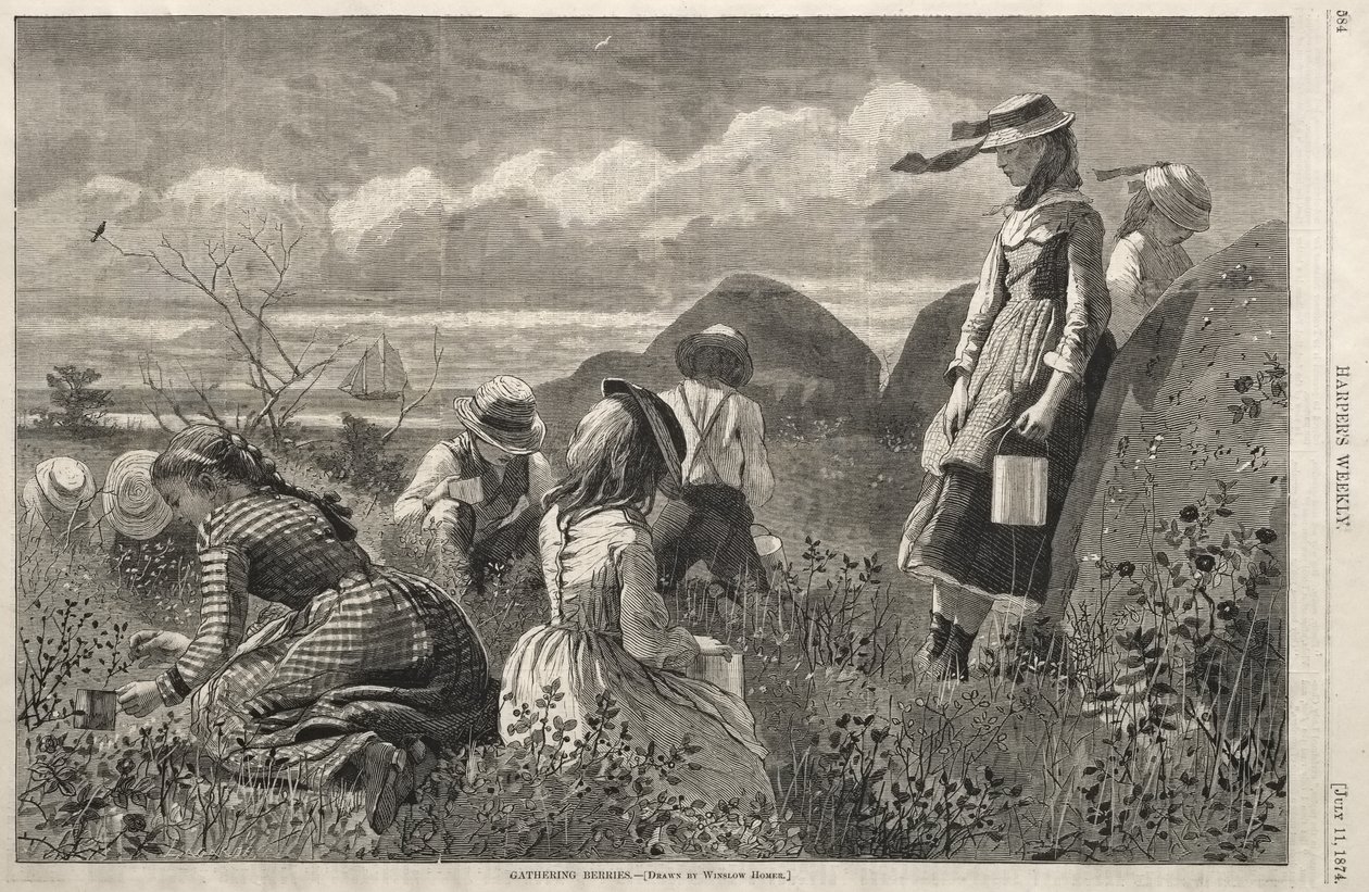 Marjojen poiminta tekijältä Winslow Homer