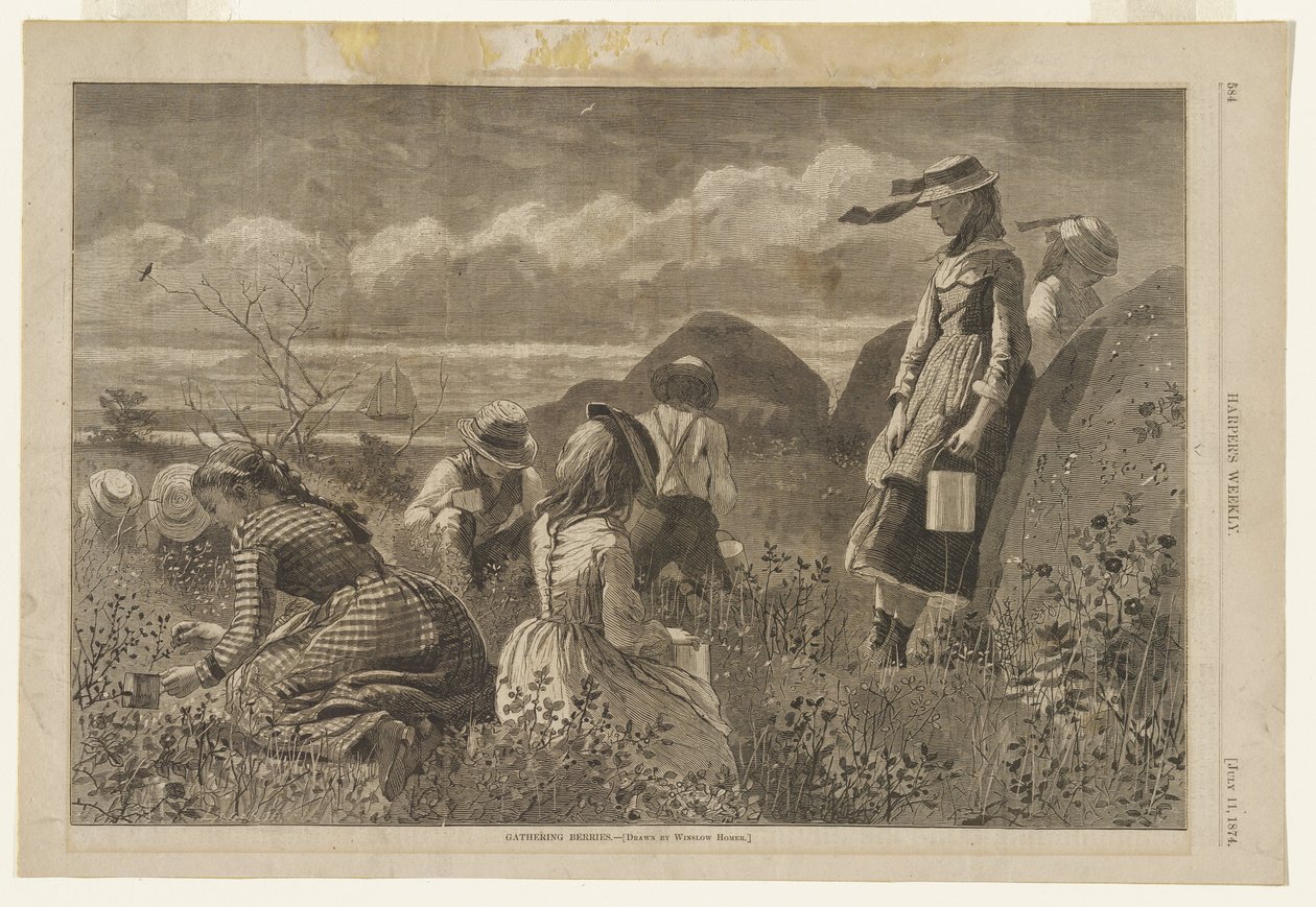 Marjojen poiminta tekijältä Winslow Homer