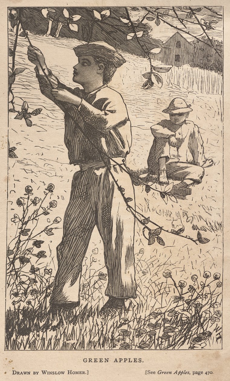Vihreät omenat tekijältä Winslow Homer