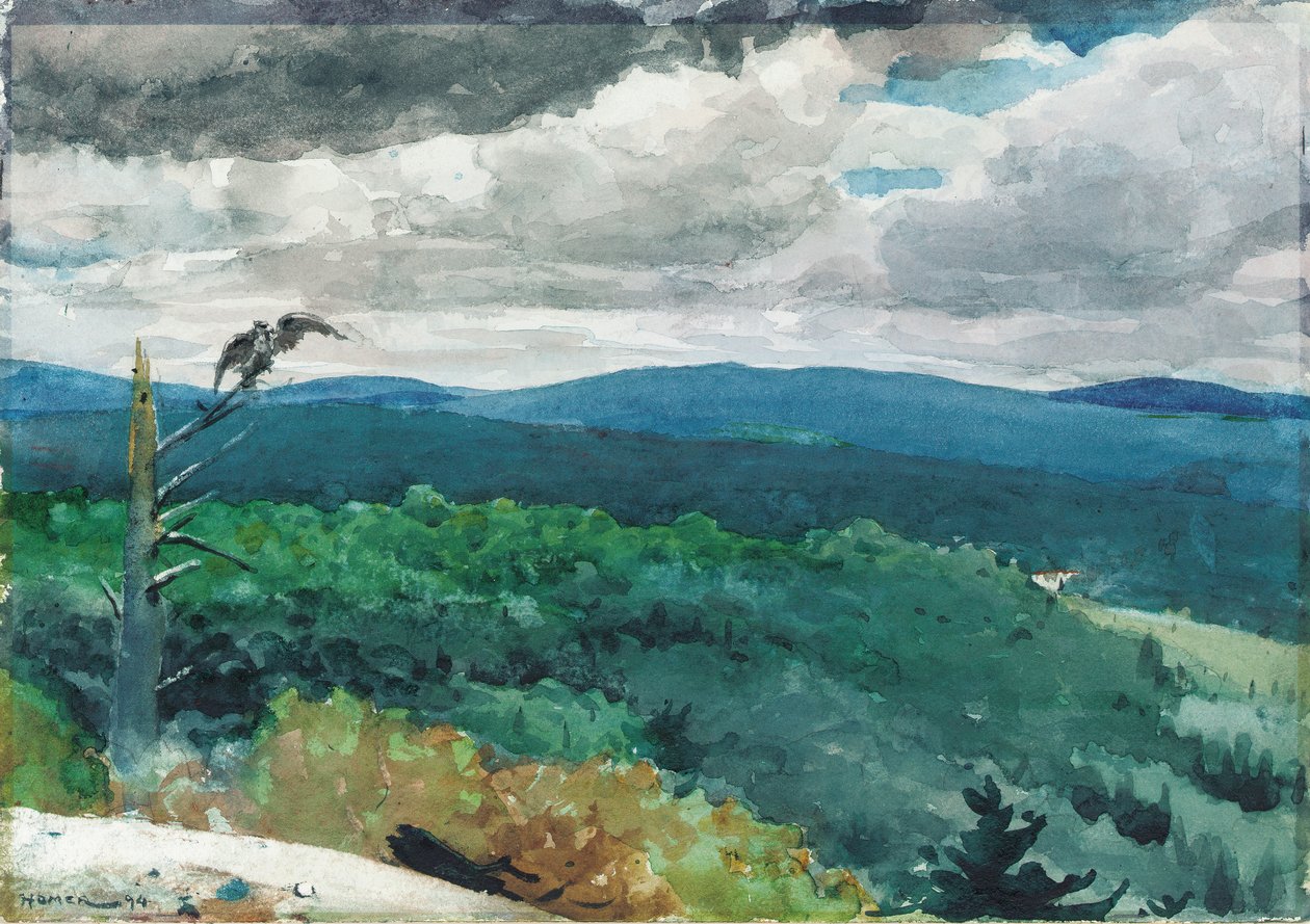 Mäkinen maisema, 1894 tekijältä Winslow Homer