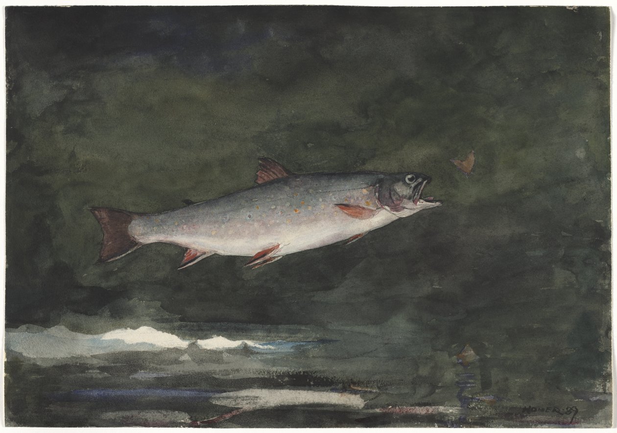 Hyppäävä taimen tekijältä Winslow Homer