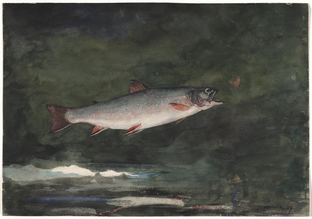 Leaping Trout, 1889. tekijältä Winslow Homer