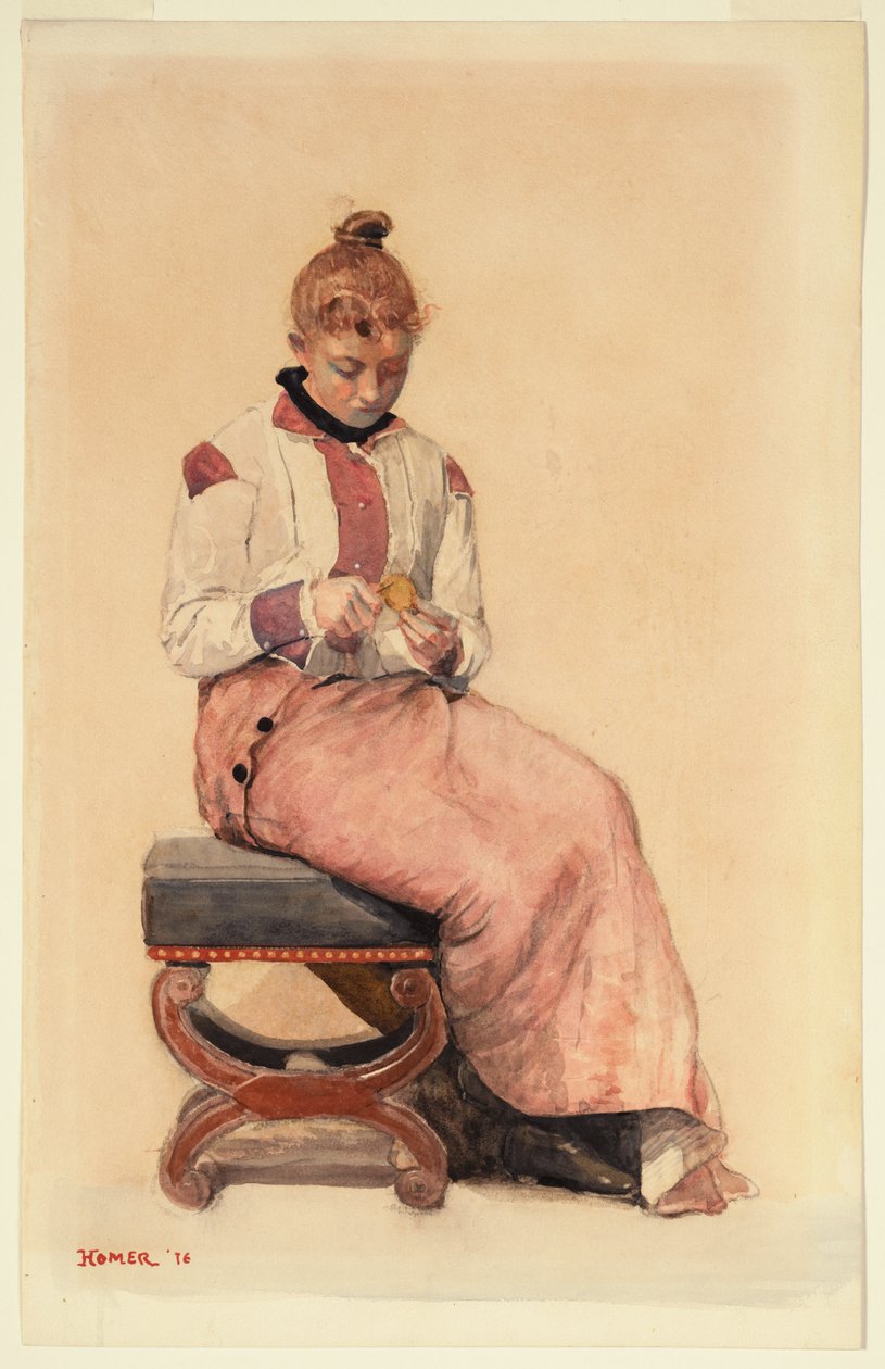 Sitruuna tekijältä Winslow Homer