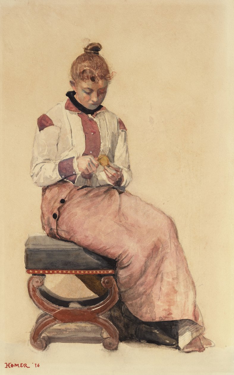 Sitruuna, 1876 tekijältä Winslow Homer
