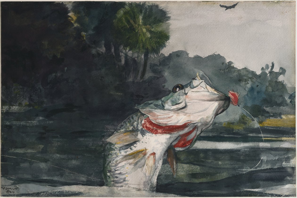 Elämänkokoinen mustaharjus tekijältä Winslow Homer