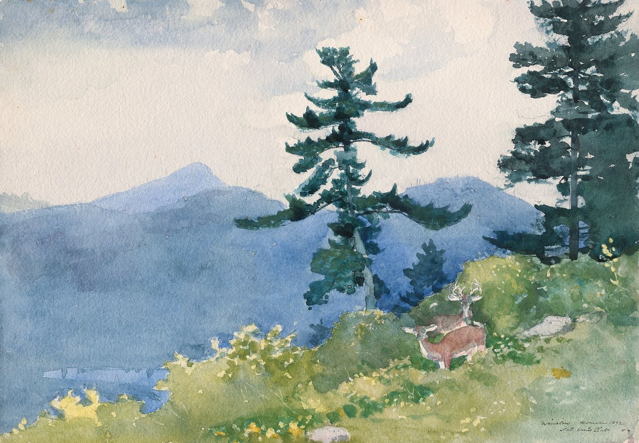 North Woods Club, Adirondacks (The Interrupted Tete-a-Tete) tekijältä Winslow Homer