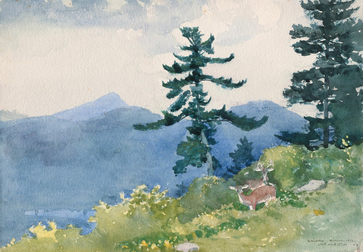 North Woods Club, Adirondacks (Keskeytetty Tete-a-Tete) tekijältä Winslow Homer