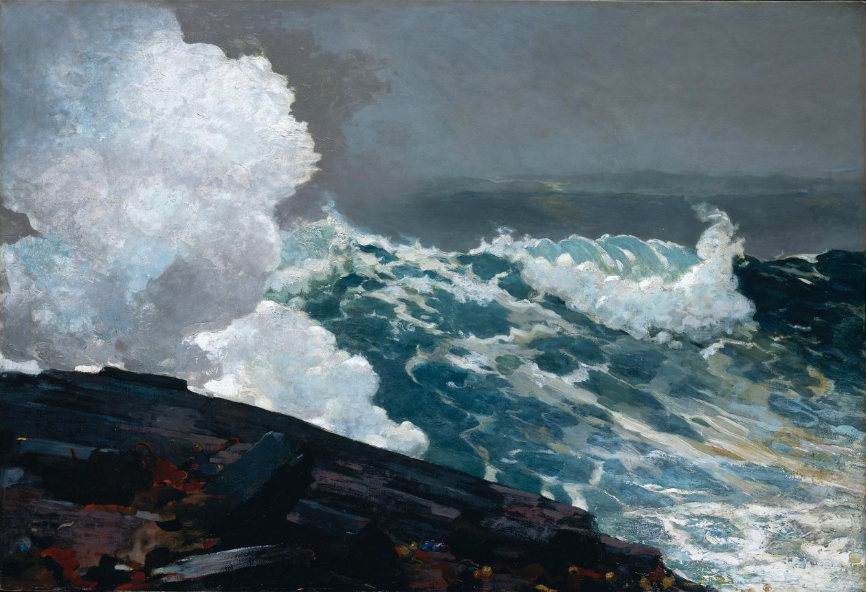 Koillis tekijältä Winslow Homer