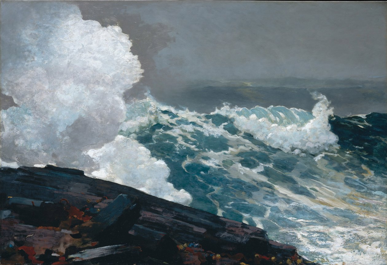 Koillis tekijältä Winslow Homer
