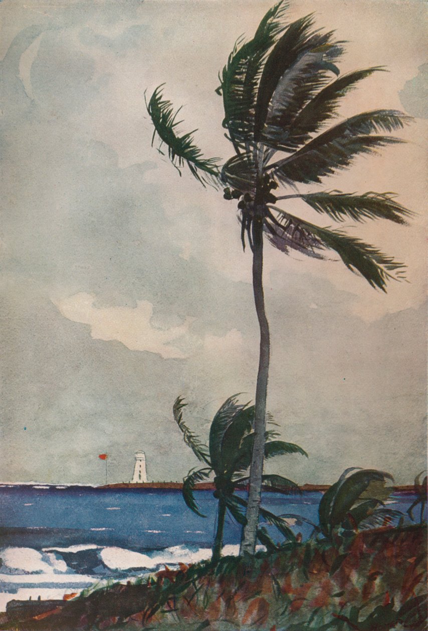 Palmut, Nassau, 1898, 1932 tekijältä Winslow Homer
