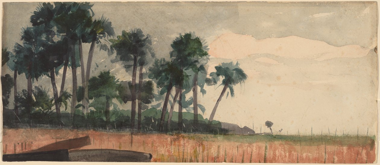 Palmut, punainen tekijältä Winslow Homer