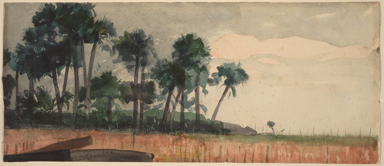 Palmut, punainen tekijältä Winslow Homer