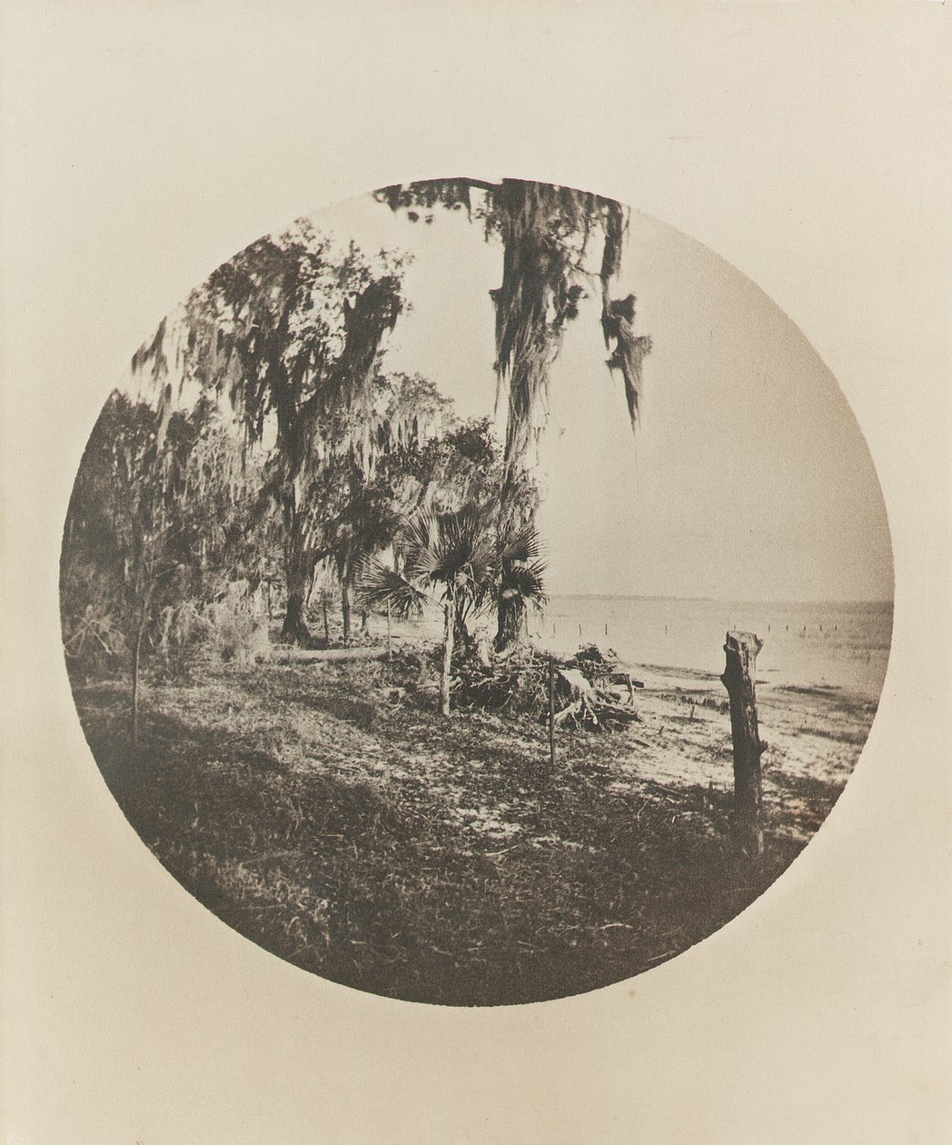 Palmu- ja rantamaisema, Floridan rannikko, n. 1904 tekijältä Winslow Homer