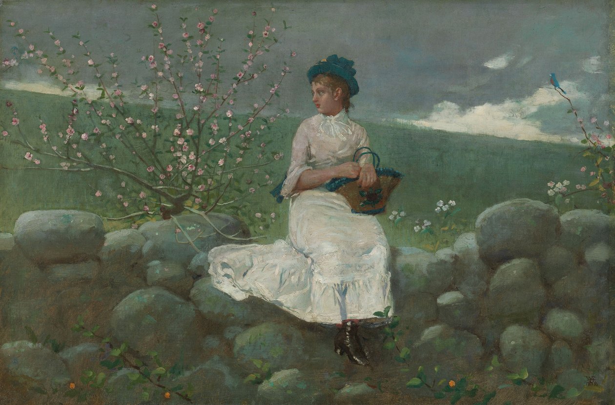 Persikkakukkia tekijältä Winslow Homer
