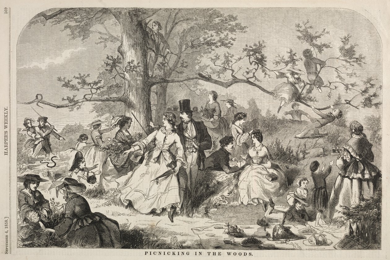 Piknik metsässä tekijältä Winslow Homer