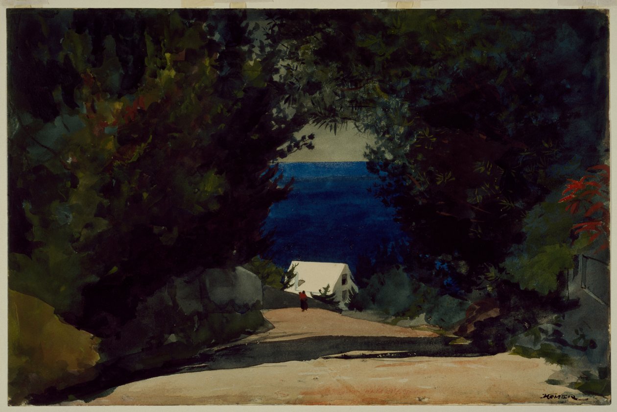 Tie Bermudalla, noin 1899-1901 (vesiväri paperille). tekijältä Winslow Homer