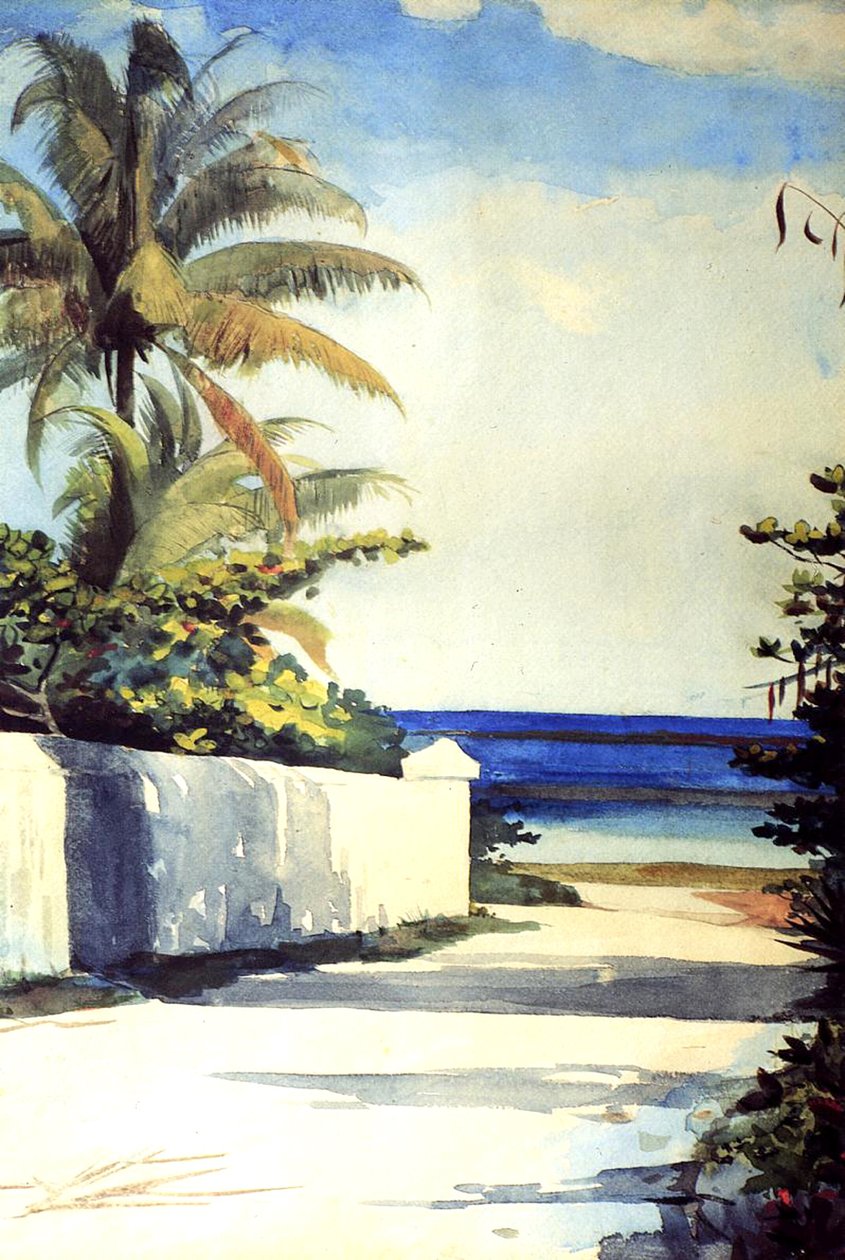 Road Nassaussa, 1898-99 tekijältä Winslow Homer