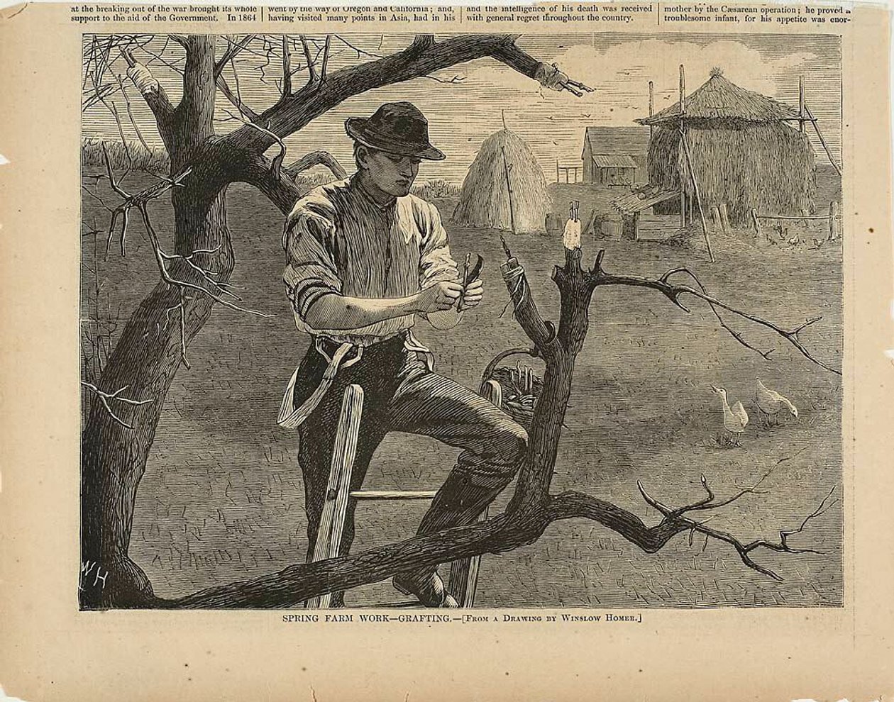 Kevään maatilan työ-varttaminen tekijältä Winslow Homer