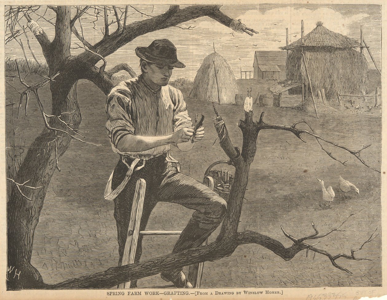 Kevään maatyöt tekijältä Winslow Homer