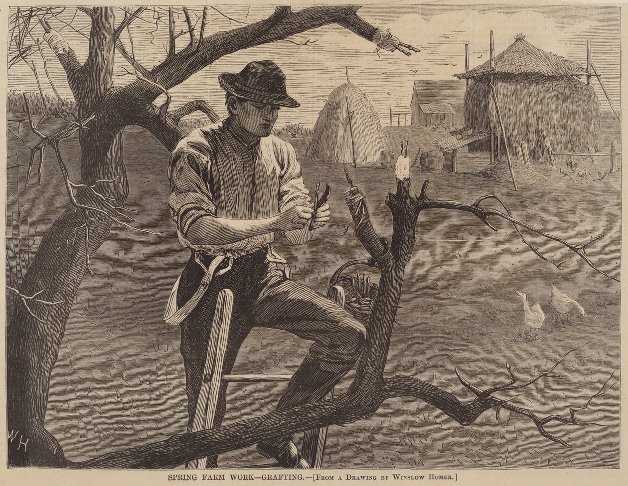 Kevättyöt - Varttaminen, julkaistu 1870. tekijältä Winslow Homer