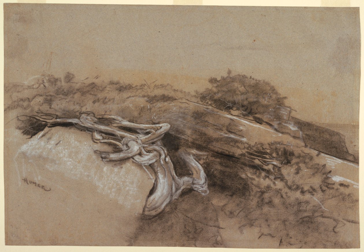Tutkimus puiden juurista, Proutin kaula, Maine tekijältä Winslow Homer