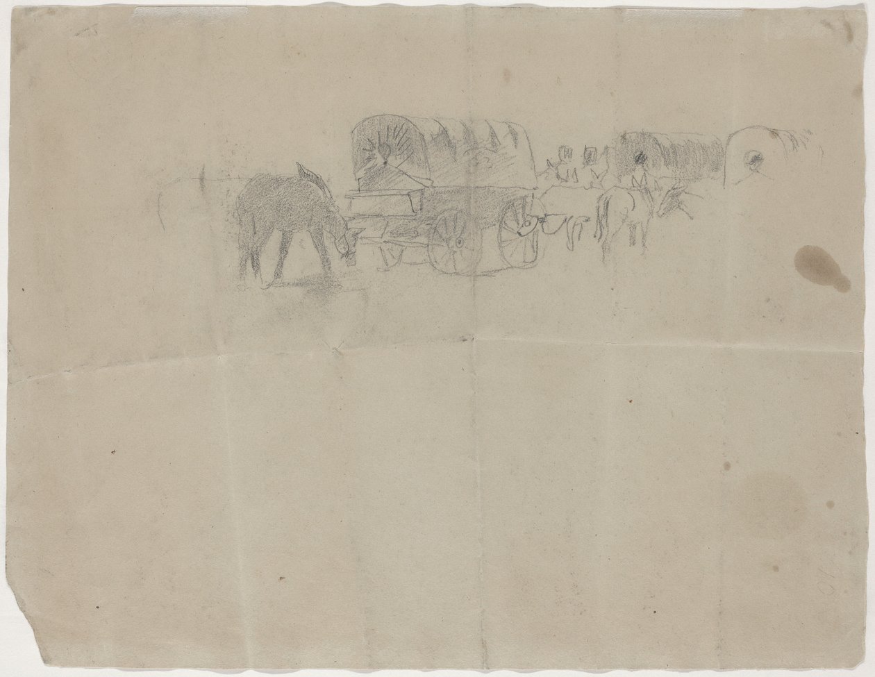 Supply Train and Mules [verso] tekijältä Winslow Homer