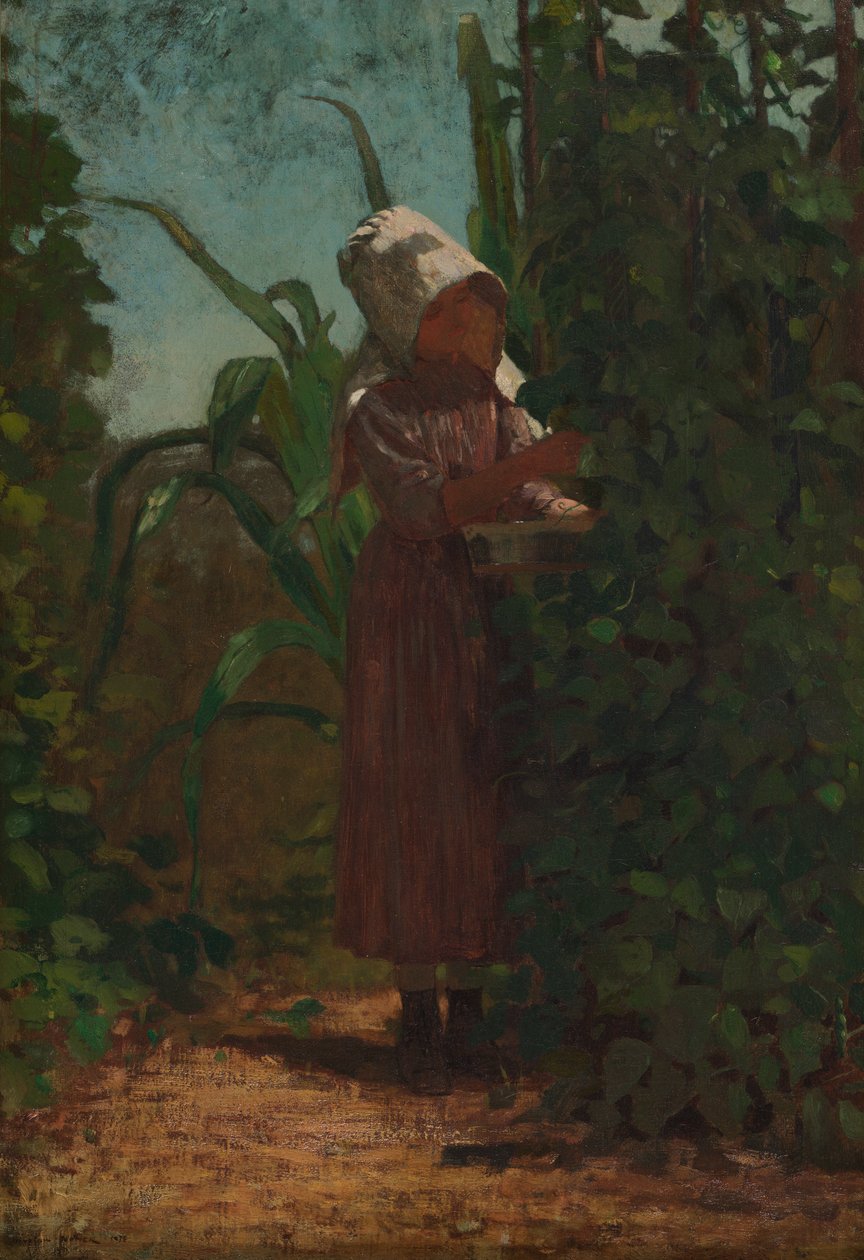 Pavunpoimija tekijältä Winslow Homer
