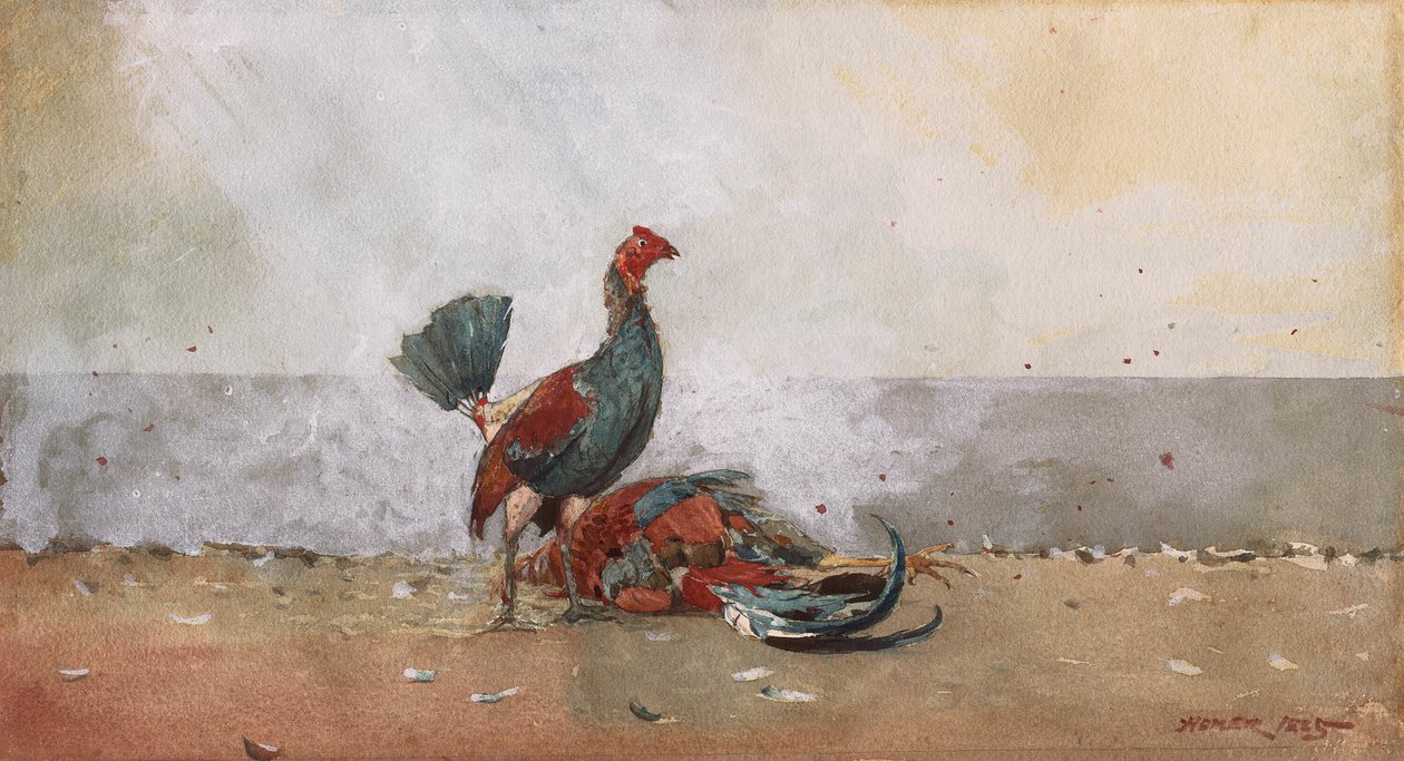 Kukon taistelu tekijältä Winslow Homer
