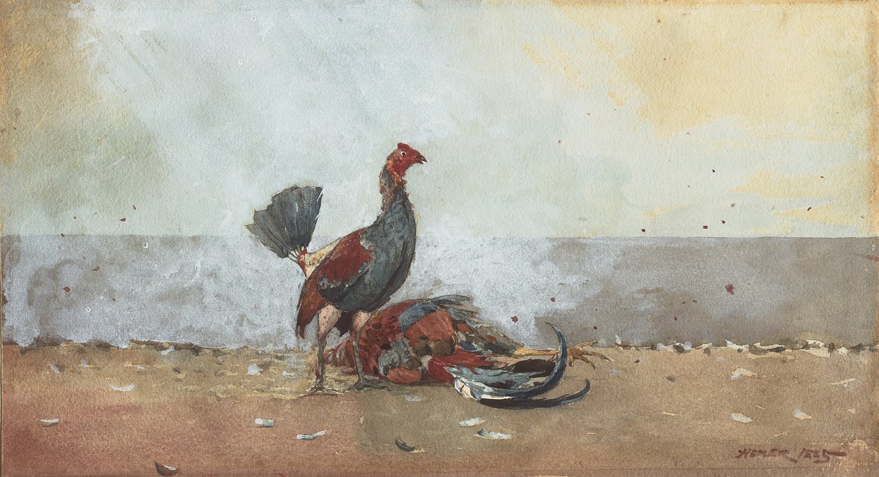 Kukon taistelu tekijältä Winslow Homer