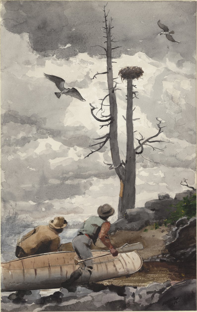 Kotkanpesä tekijältä Winslow Homer