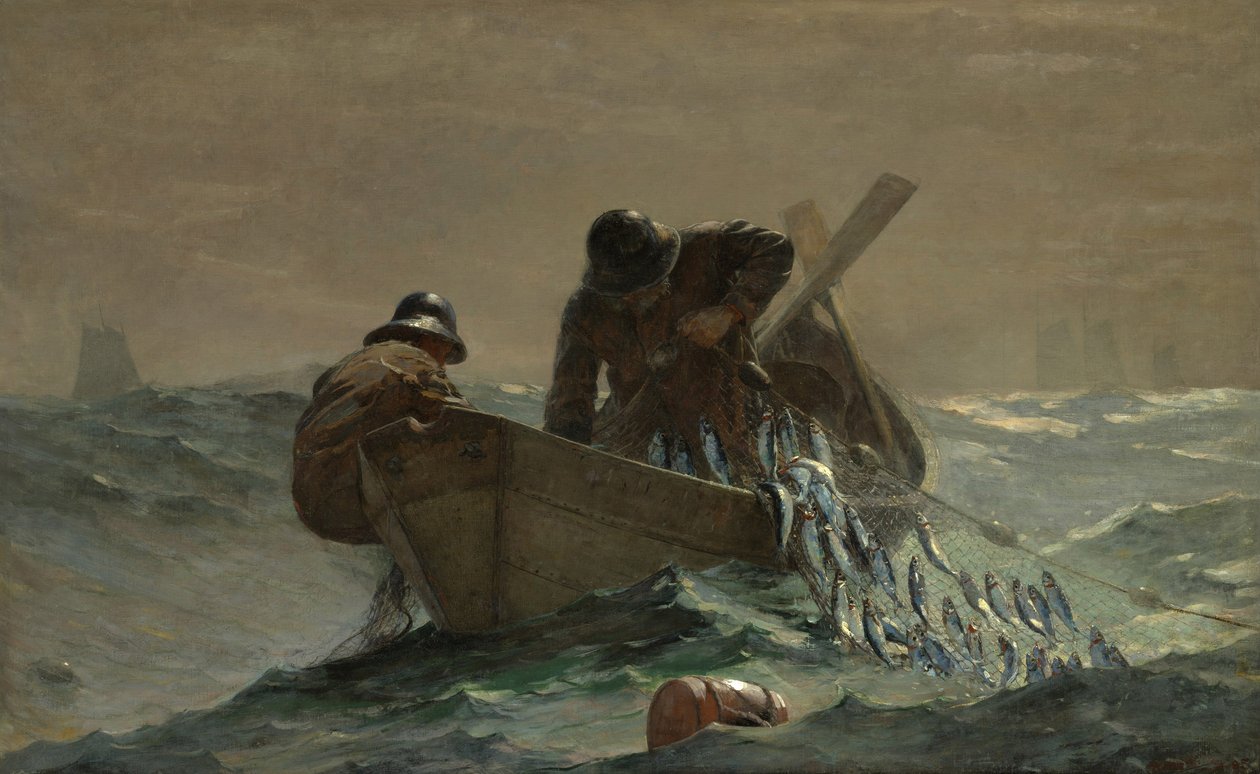 Silliverkko tekijältä Winslow Homer