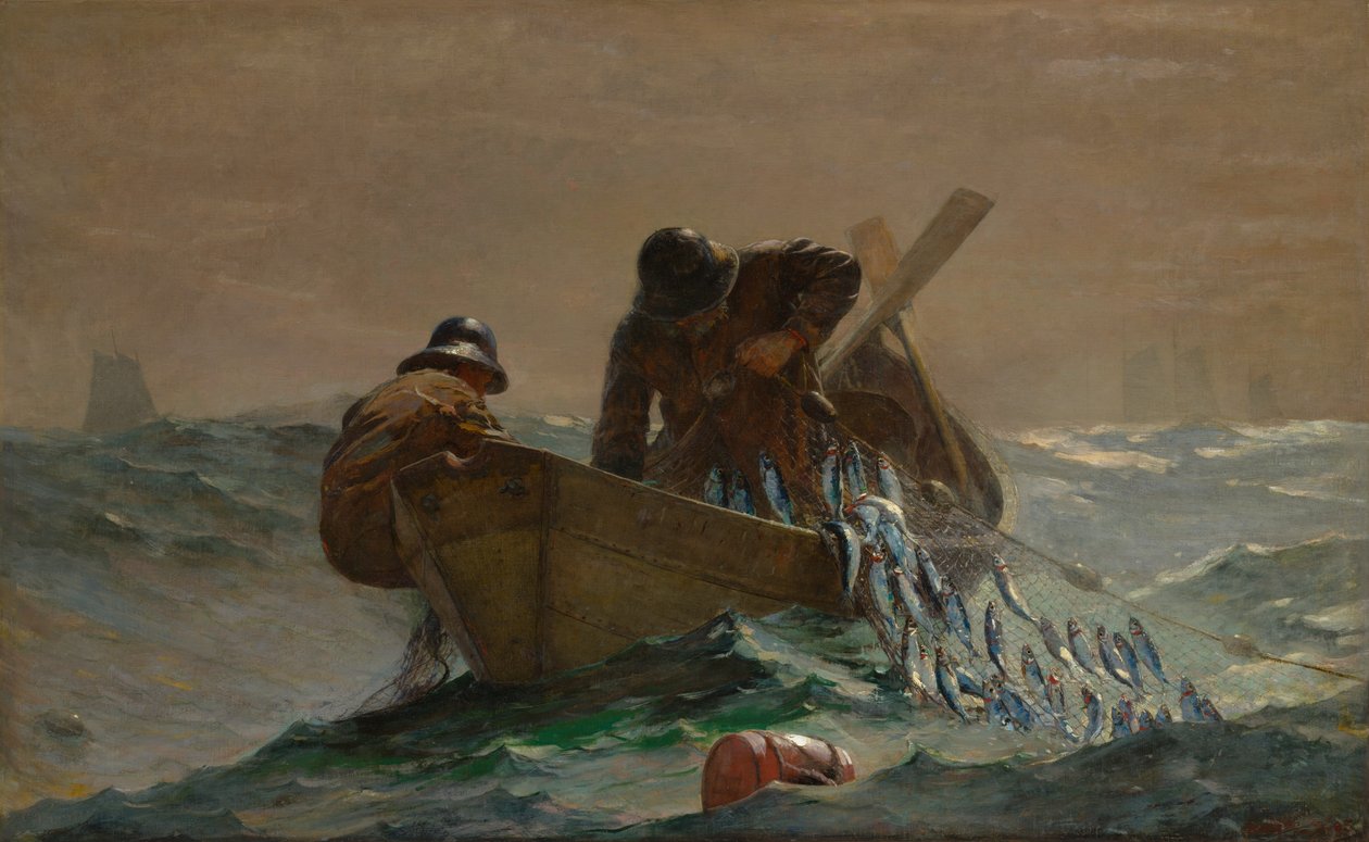 Silliverkko tekijältä Winslow Homer