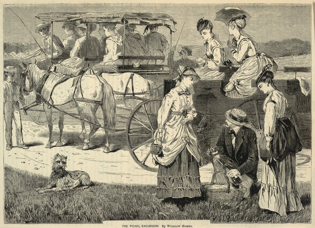 The Picnic Excursion, Appletons