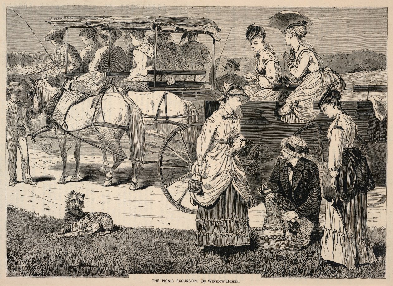 The Picnic Excursion, Appletons