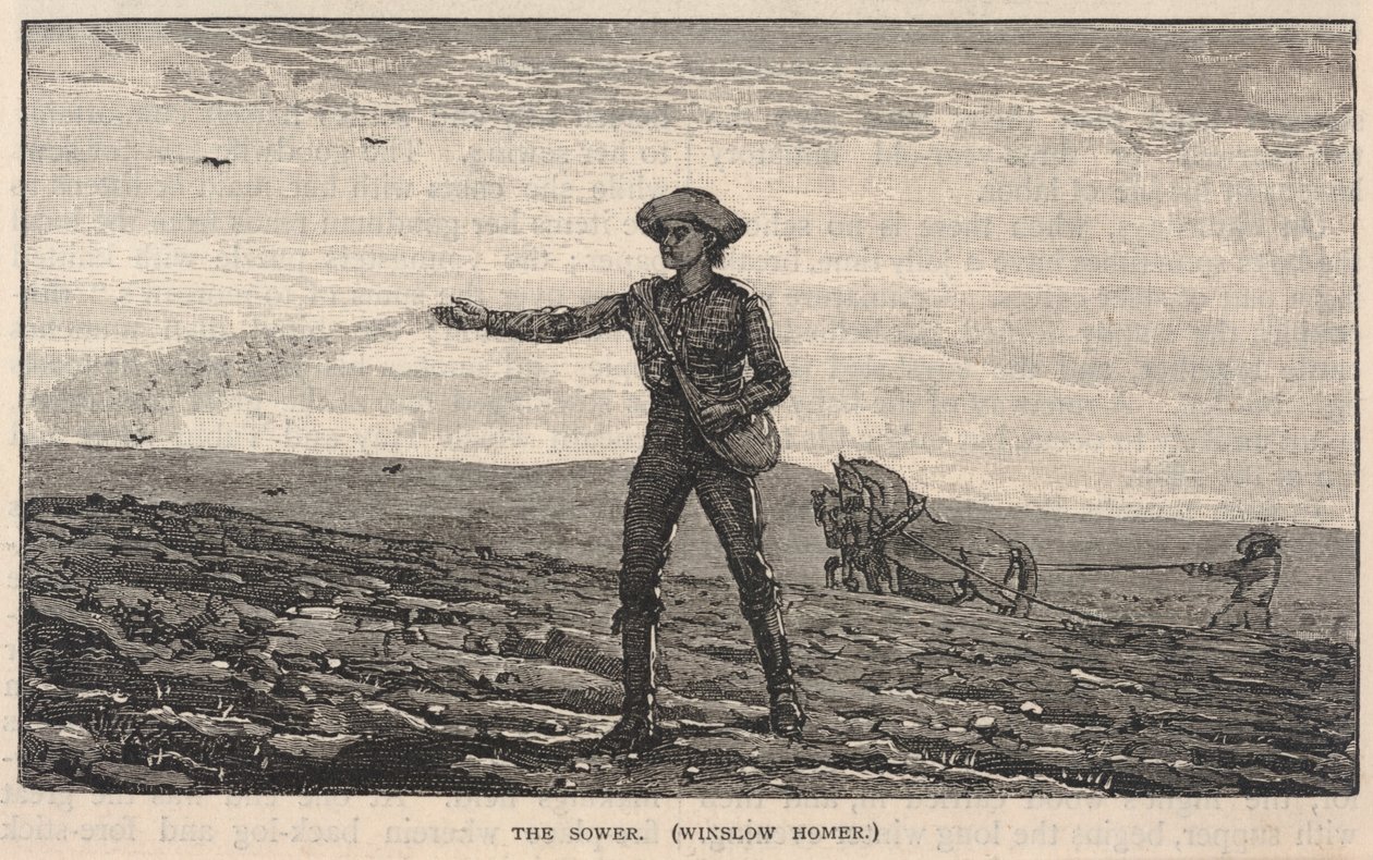 The Sower, Scribner