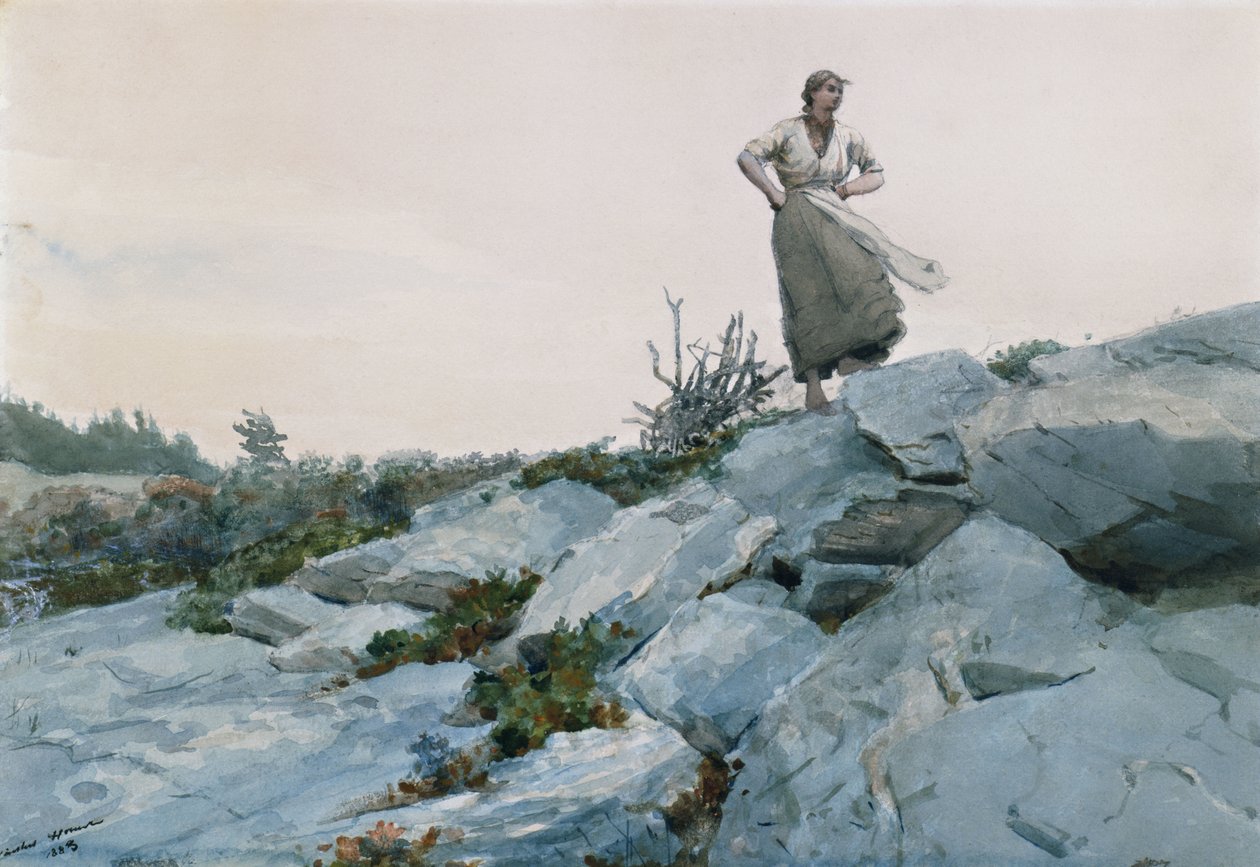 The Twigs Gatherer, 1883 tekijältä Winslow Homer