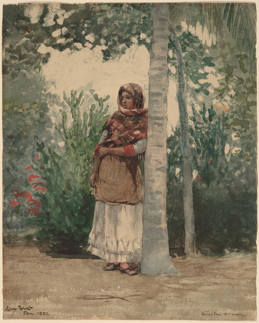 Palmun alla tekijältä Winslow Homer