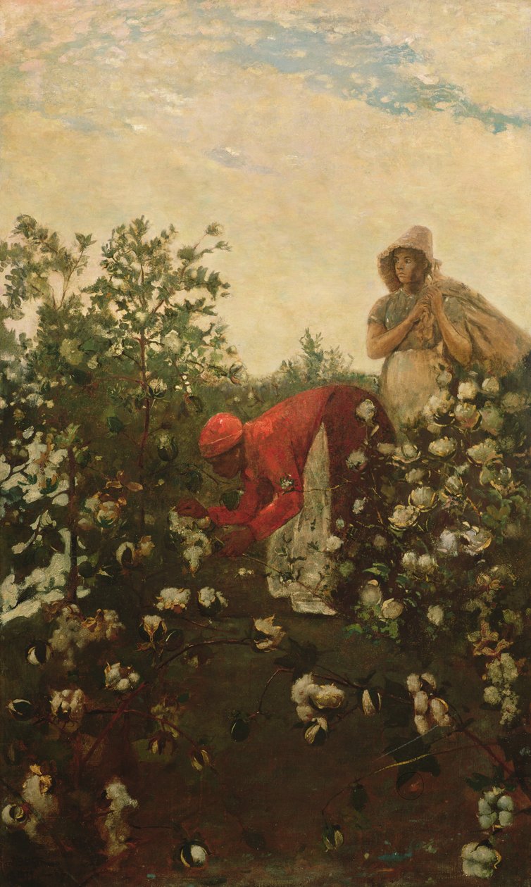Upland Cotton, 1875 tekijältä Winslow Homer