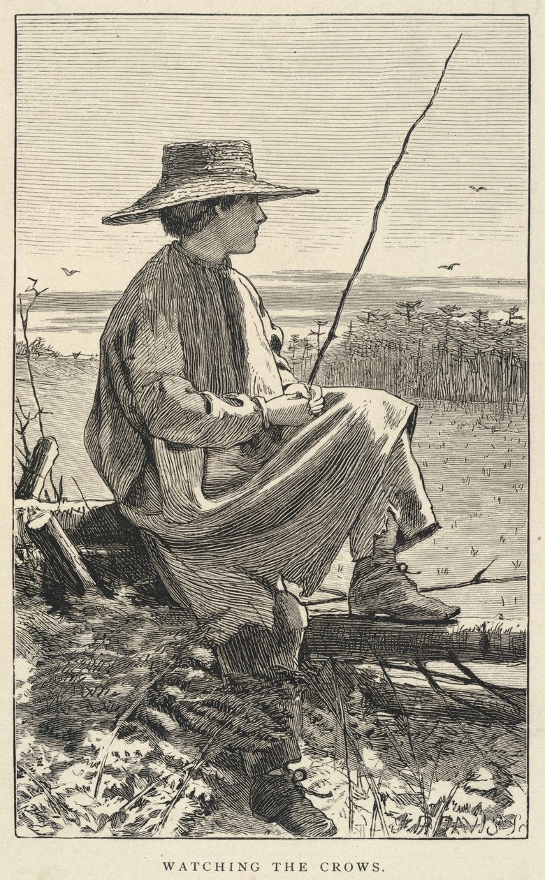 Watching The Crows, alkaen Our Young Folks, kesäkuu 1868 tekijältä Winslow Homer