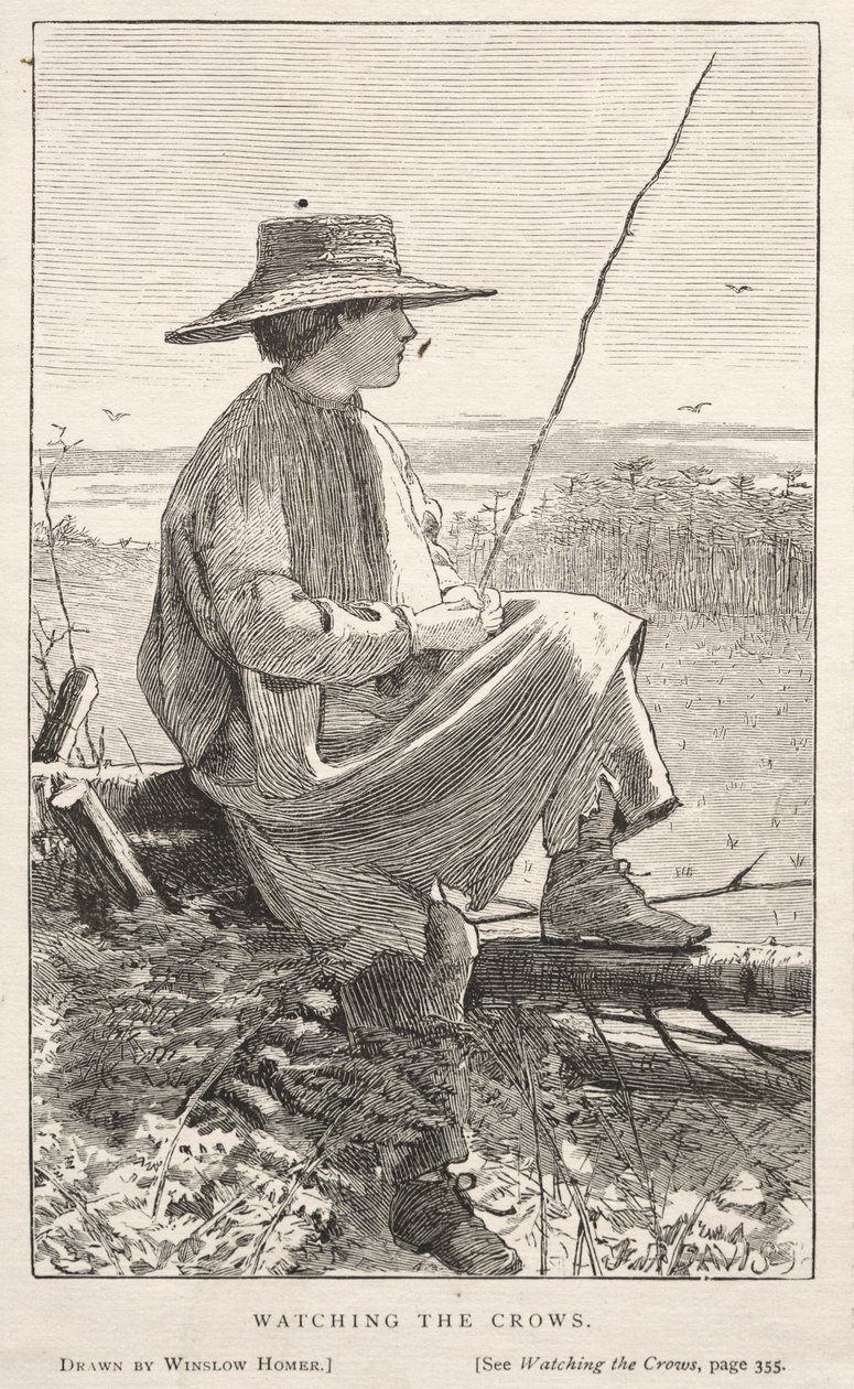 Varisten katselu, 1868. tekijältä Winslow Homer